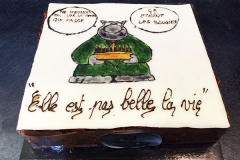 Gâteau personnalisé "Elle est pas belle la vie"